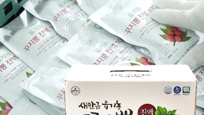 엄선한 재료로 만든 황산뽕잎한과 솔직 후기!🤫
